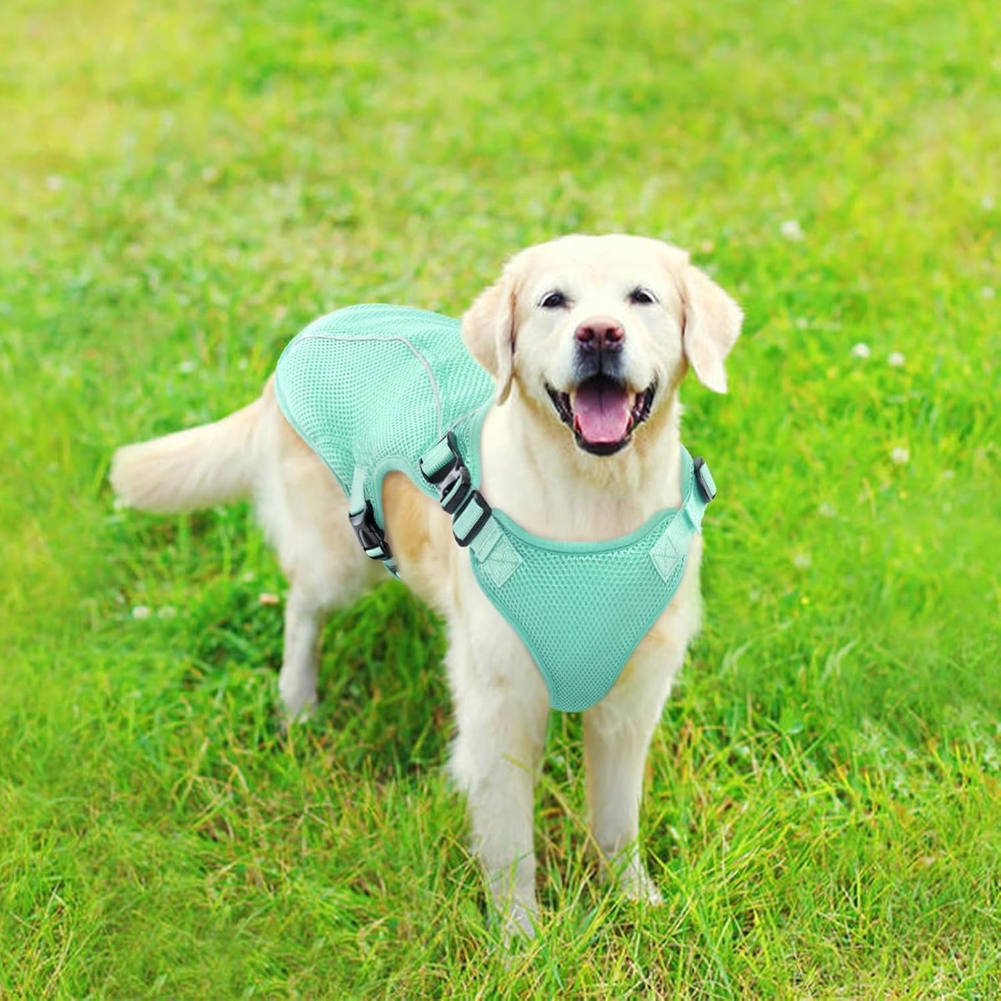 Kuoser Dog Cooling Vest for Large Dogs, Lightweight Doggie Cooler Jacket Breathable Mesh Pet Cooling Shirts Reflective Puppy Cool Harness for Beach, Hiking, Walking Green XXL