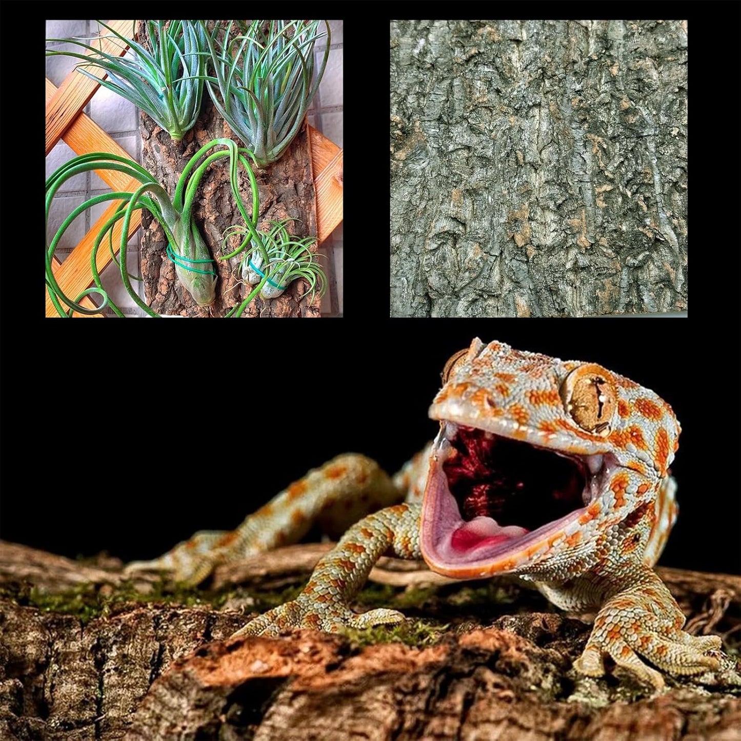 Allazone 3 PCS Parrot Chewing Toy Bird Cork Perch Stand, Natural Cork Perch, Parrot Chewing Toy Bird Cork Perch Stand for Parakeet Cockatiel Conure Lovebird