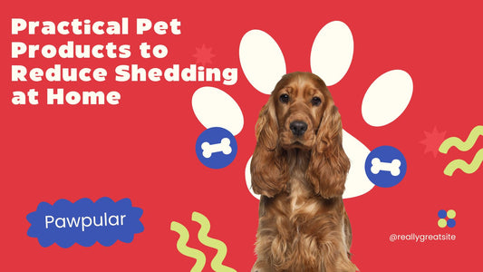 Practical Pet Products to Reduce Shedding at Home