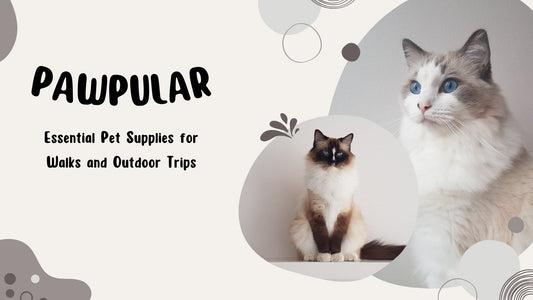 Essential Pet Supplies for Walks and Outdoor Trips