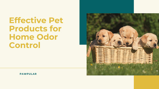 Effective Pet Products for Home Odor Control – A Clean & Fresh Pet Living Guide