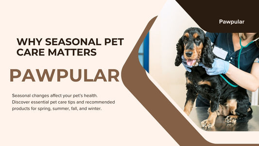 Seasonal Pet Care Guide with Recommended Products – Keep Your Pet Healthy All Year