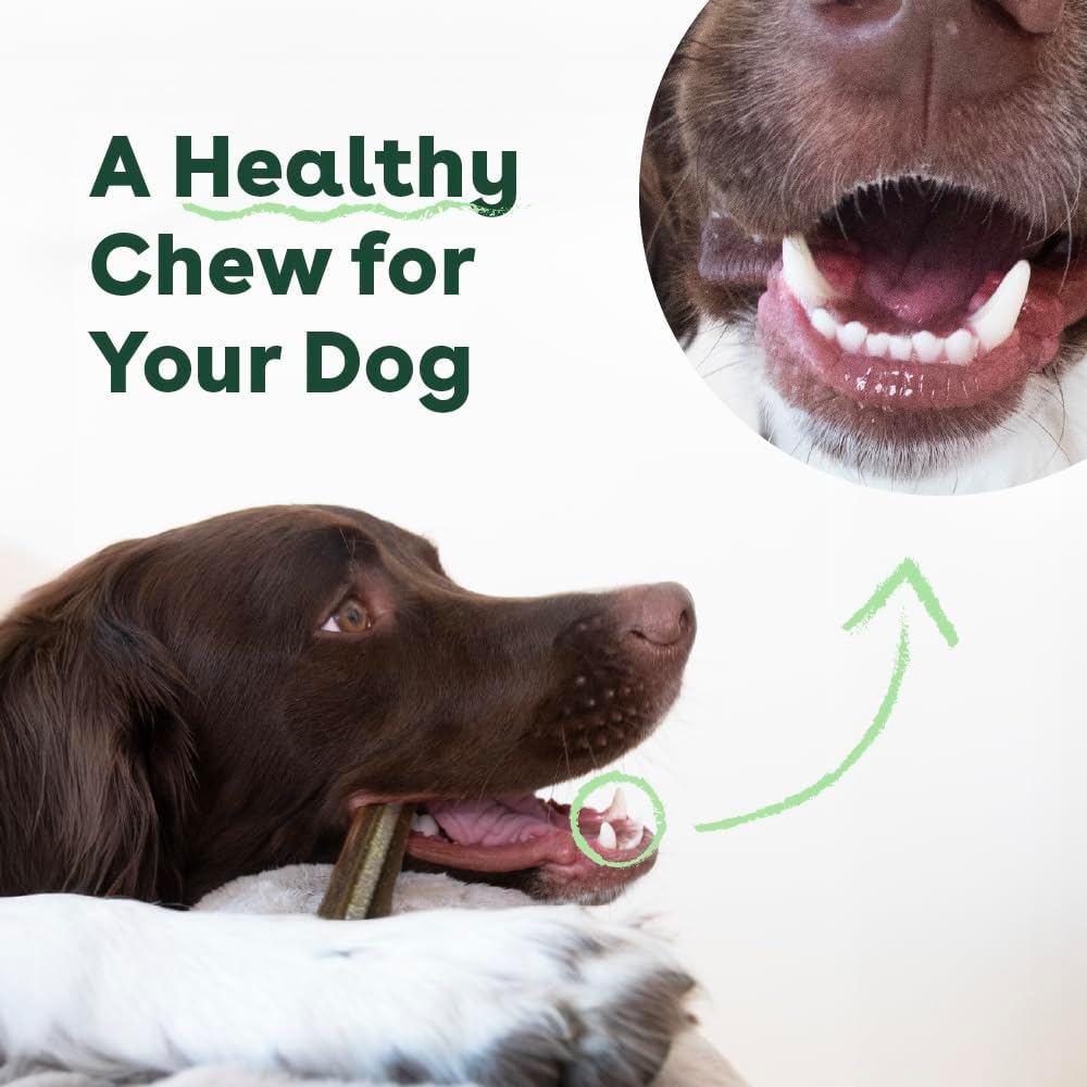 Pupford Dental Chews for Dogs, All-Natural 4-Inch Sticks for Plaque, Tartar & Bad Breath, Grooved Texture, Limited Ingredients, Made in USA (14 Count)