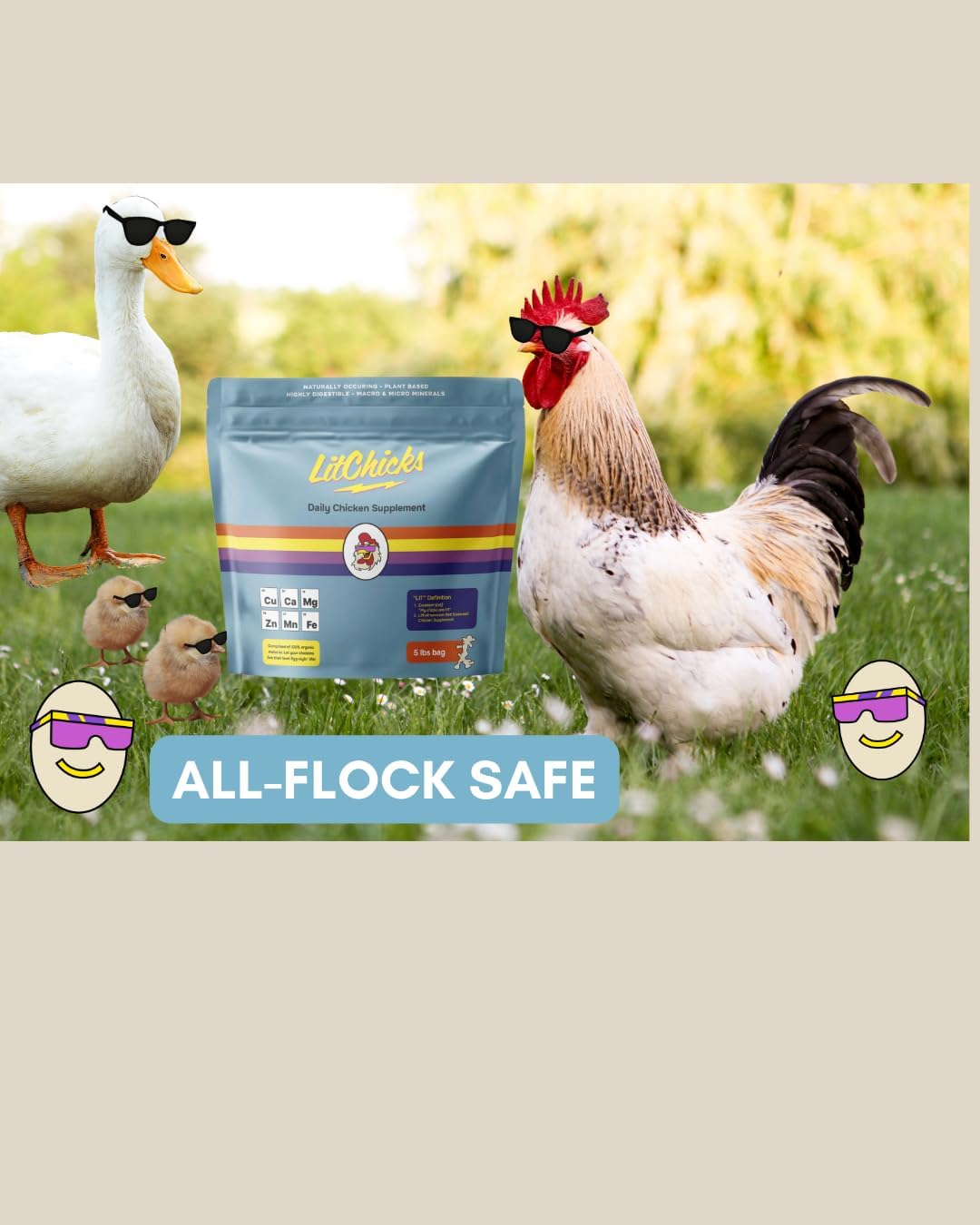 LitChicks’ Calcified Seaweed for Laying Chickens - Crushed Oyster Shell Alternative - Highly Digestible - Single Ingredient - Helps with Egg Laying & Flock Health.