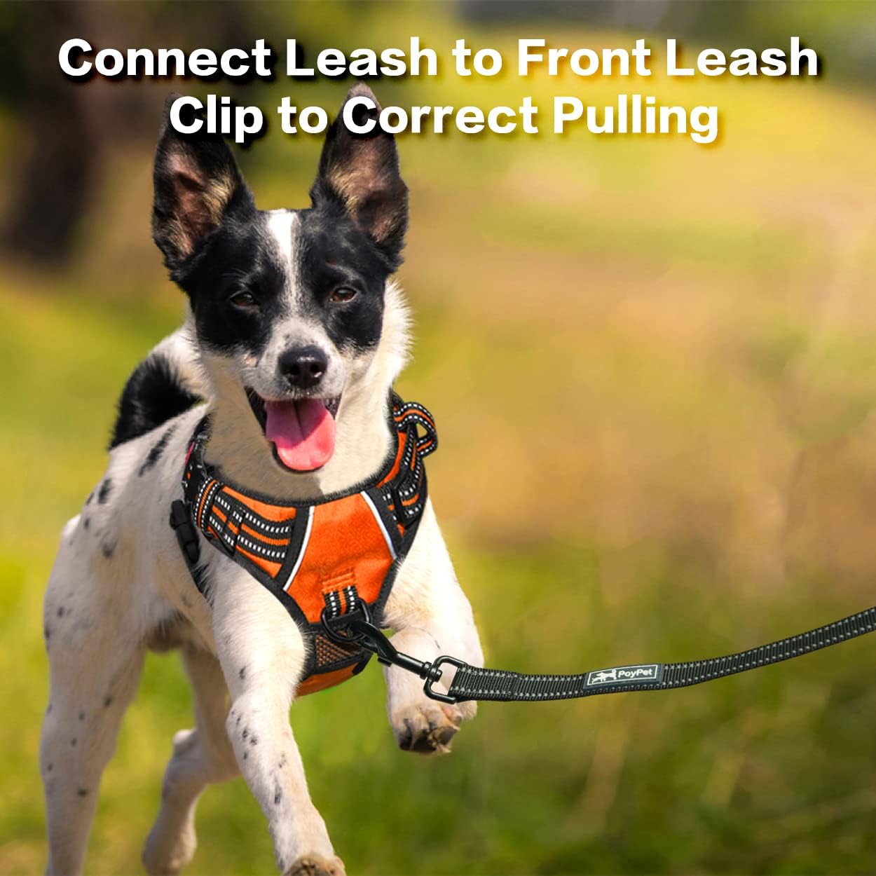 PoyPet No Pull Dog Harness, No Choke Front Clip Reflective Dog Vest with Soft Padded Vertical Handle, 3 Leash Attachments for Small Medium Large Dogs (Orange,S)