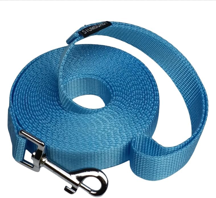 Dog/Puppy Obedience Recall Training Agility Lead - 15ft 20ft 30ft 40ft 50ft Training Leash - Great for Play, Camping, or Backyard (Mint Blue, 40 Feet)