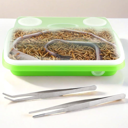 1 Pack Mealworms Breeding Kit Mealworms Keeper with 2 Pcs Insect Stainless Steel Tweezers to Breed Live Worms for Reptile Bearded Dragon Leopard Gecko Lizard Frog Bird Chicken
