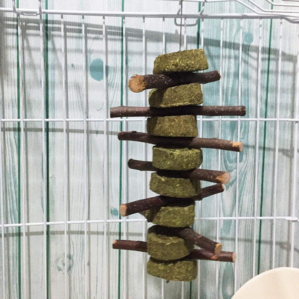 Bunny Chew Toys for Teeth, 2 PCS Organic Apple Wood Molar Sticks with Timothy Hay Circles for Bunny Chinchilla Guinea Pig Hamsters Holland Lop Prairie Dogs Squirrels, Improves Dental Health