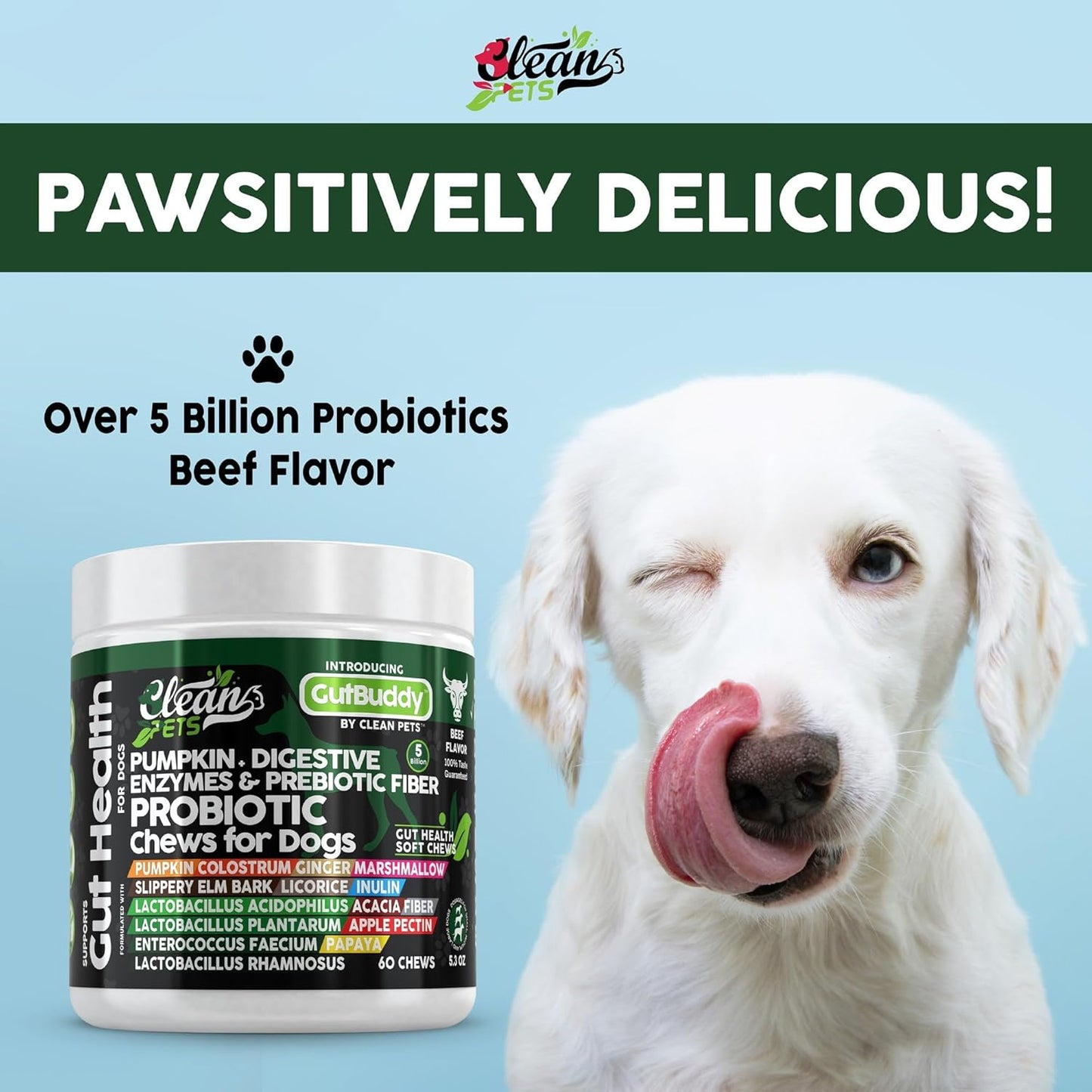 Probiotics for Dogs with Pumpkin, Colostrum, Digestive Enzymes, Ginger, Slippery Elm, Licorice, Inulin Fiber & More | Beef Flavor Soft Chews for Gut Health and Digestion Dog Supplement