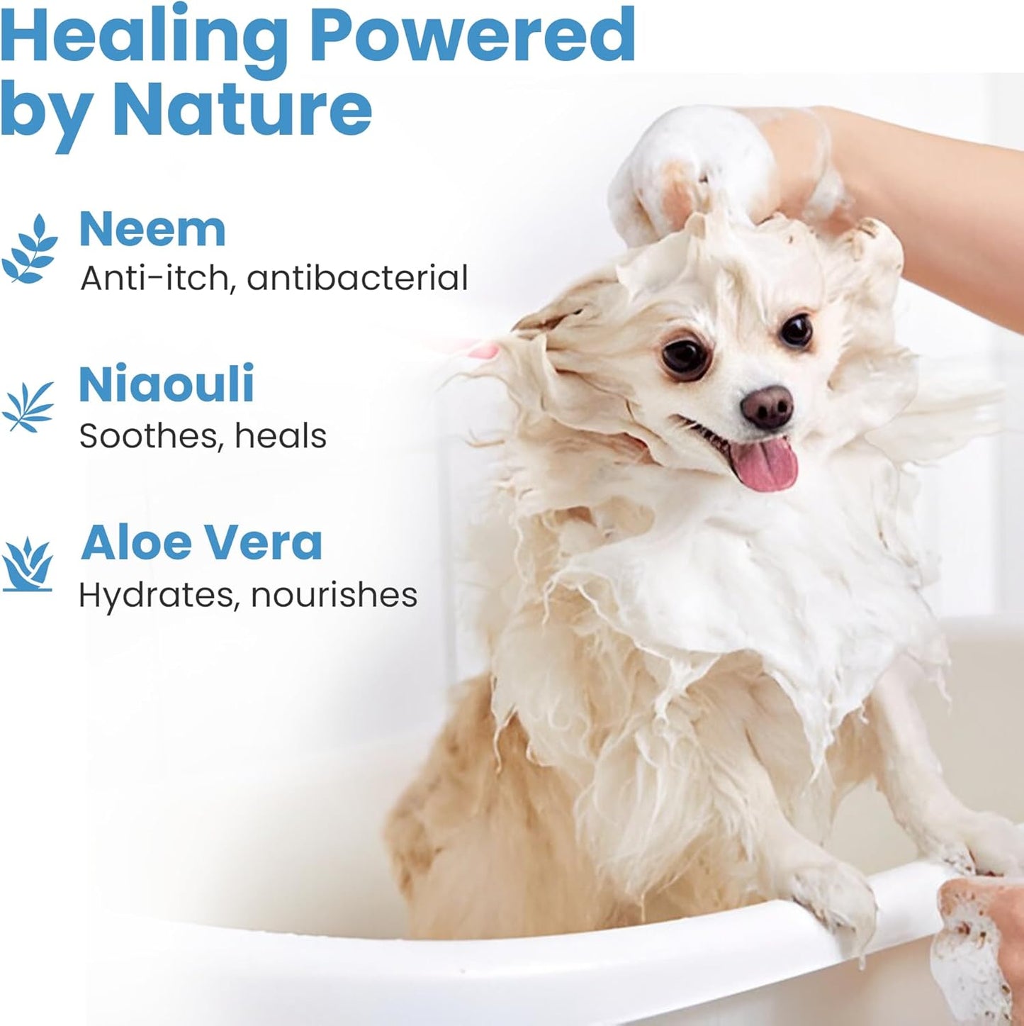 Medicated Organic Dog Shampoo Bar for Hot Spots, Dry Coat, and Allergies, All Natural Dog Shampoo with Neem, Aloe, and ACV, Eco-Friendly, Vet Recommended, 2 Bars for Sensitive Skin Relief