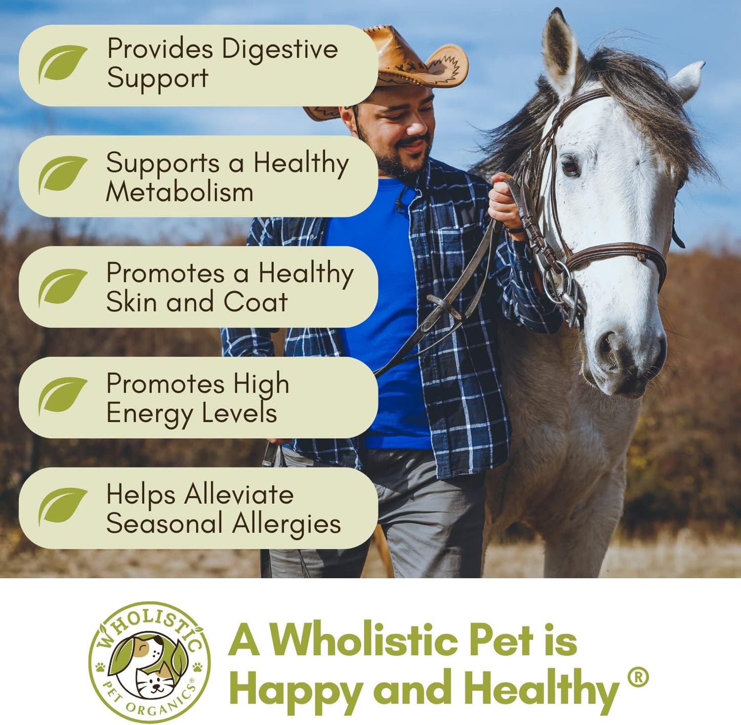 Wholistic Pet Organics Equine Complete: Horse Multivitamin for Total Body Health - Horse Supplement with Vitamins, Minerals, Prebiotics, Probiotics, Antioxidants and More - 4 Lb