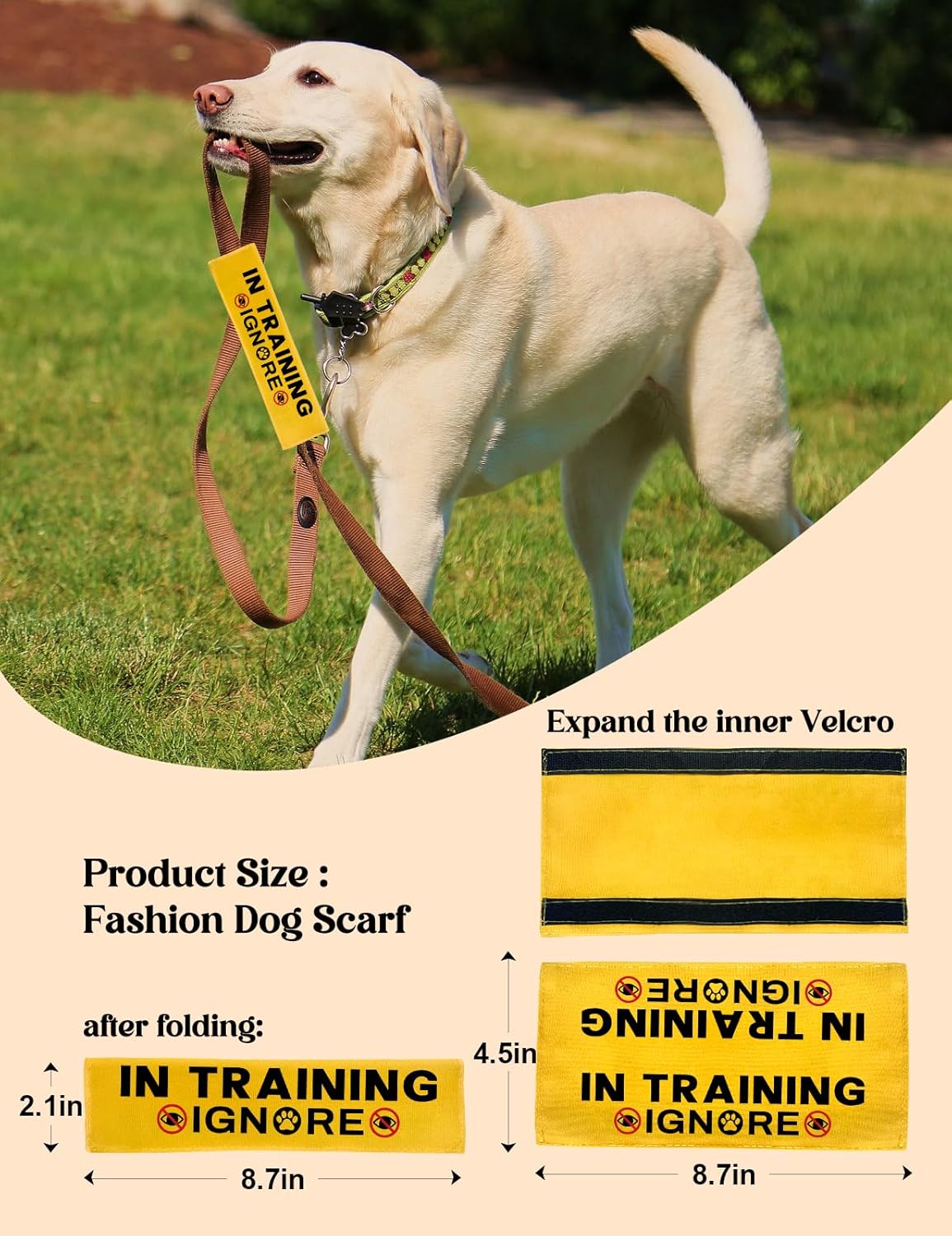 Training Ignore Dog Sleeve - Funny Yellow Leash Wrap Alert Hanging ID Patch Tag, Service Dog Leash Wrap, Pet Birthday Gifts