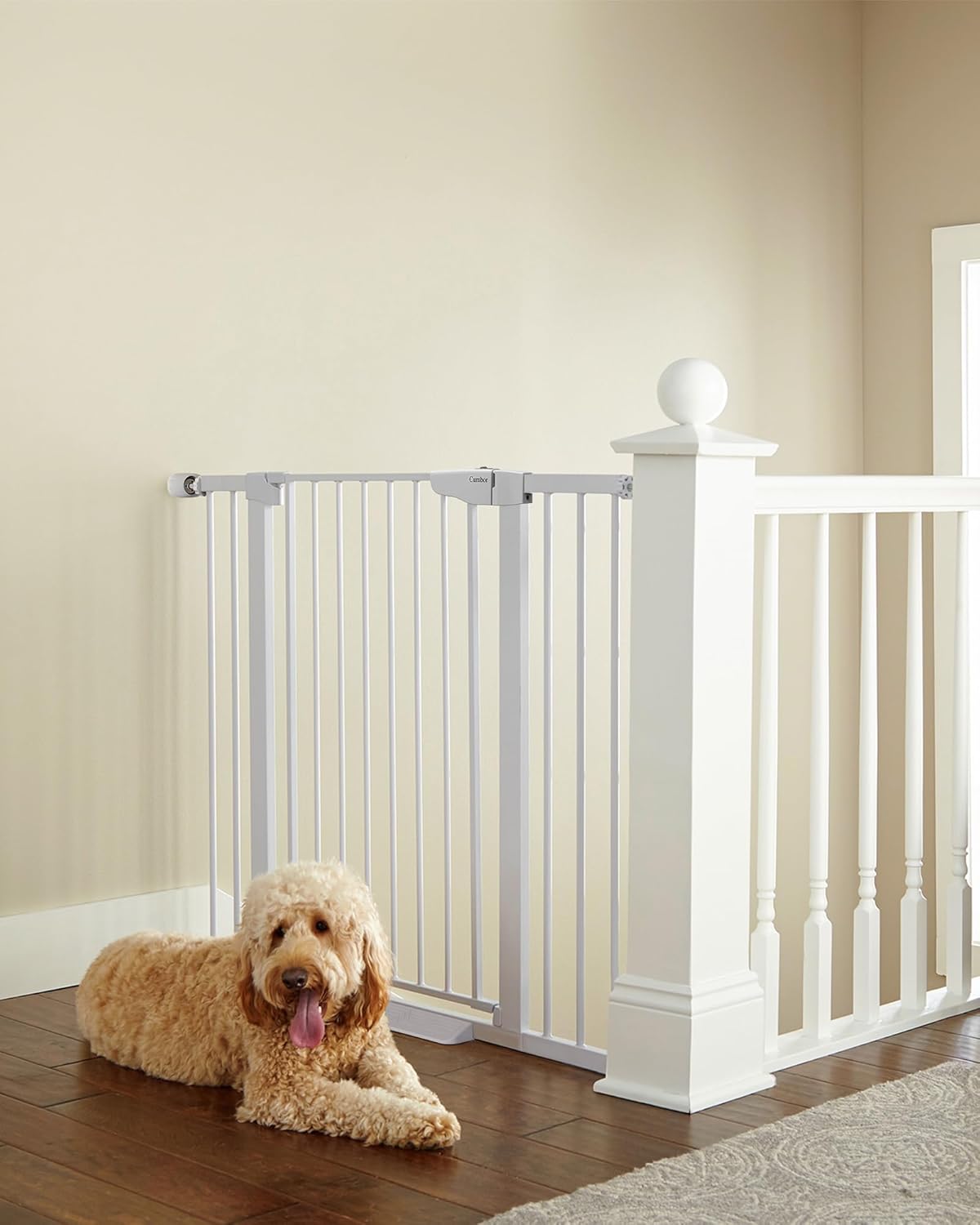 Cumbor 36" Extra Tall Baby Gate for Dogs and Kids with Wide 2-Way Door, 29.7"- 46" Width, and Auto Close Personal Safety for Babies and Pets, Fits Doorways, Stairs, and Entryways, White