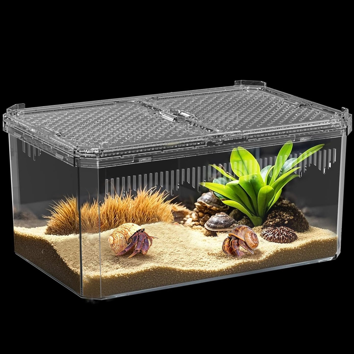 Breathable and Secure Reptile Tank with high Transparency - Ideal Container House for Hermit Crab, Tarantula Enclosure, Turtle Tank or Jumping Spider Habitat (M)