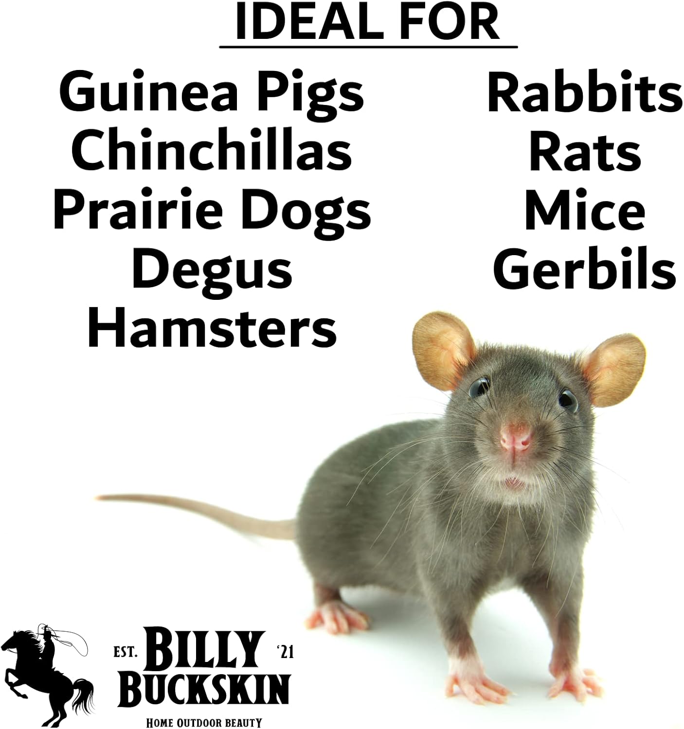 Chew Toys for Chinchilla, Lava Block Toys for Small Pet Animals like Rat, Mice, Bunny, Hamster, Degus, Gerbils, Pumice Blocks, Guinea Pig Toy, Rabbit Chew Toy by Billy Buckskin - Pack of 8