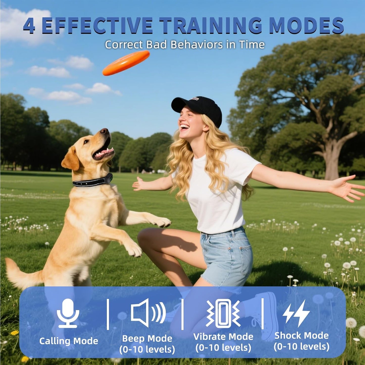 Dog Shock Collar/Medium/Small Dogs | Rechargeable Anti-Barking Training Collar,4900FT Dog Training Collar with Remote， IP67 Waterproof/4 Training Modes Adjustable Sensitivity Beep Vibration