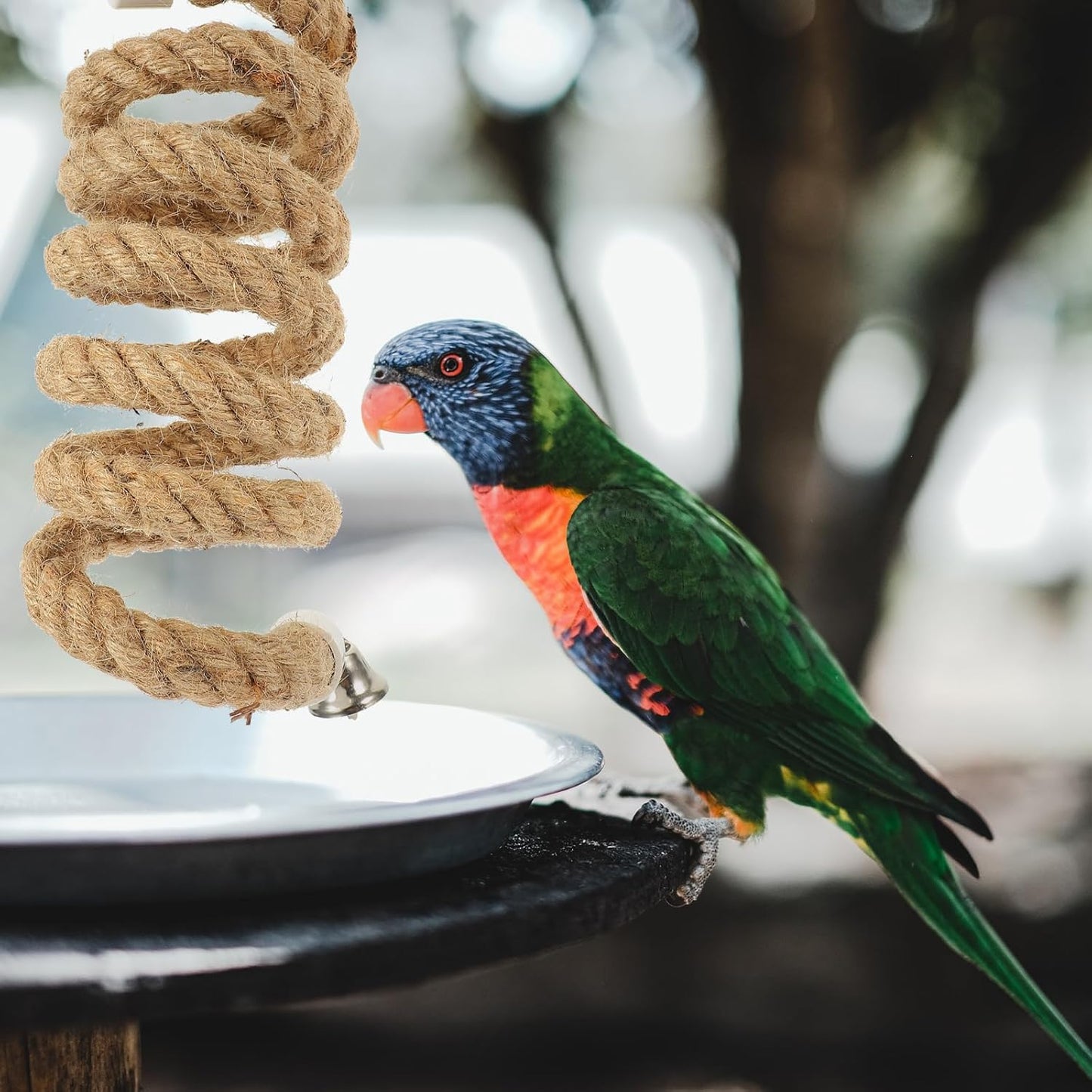 Bird Rope Toy - Parrot Climbing Perch 1.5M Durable Rope Swing for Parakeets Lovebirds & Cockatiels