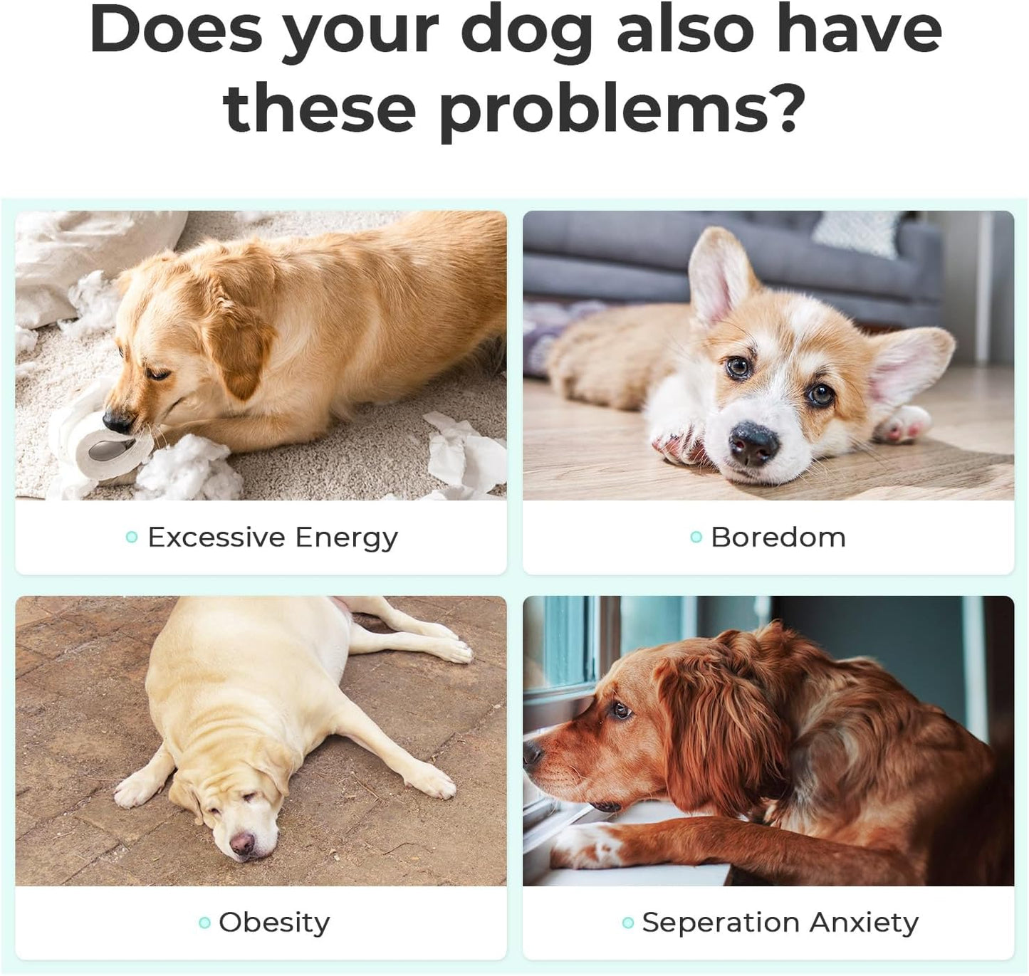 Interactive Dog Toys, Wicked Ball PE, 3 Interactive Modes,Enhanced Rubber Active Rolling Dog Toy with LED Lights for Medium Large Dogs, Motion-Activated Dog Stimulation Toy for Boredom Relief