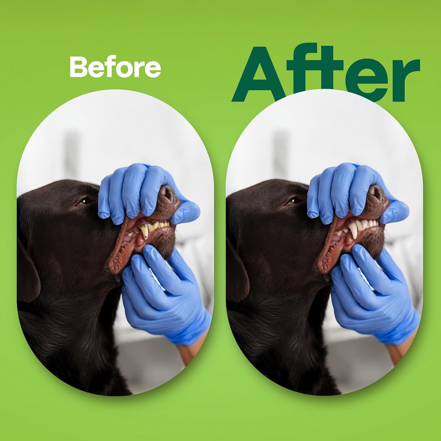 DOCO Dog Teeth Cleaning Wipes Dental Finger Wipes for Cats & Dogs Remove Plaque & Tartar, Freshen Breath, No Rinse, Easy Pet Tooth Cleaning Kit for Oral Care, Coconut & Grapefruit Flavor, 100 Count