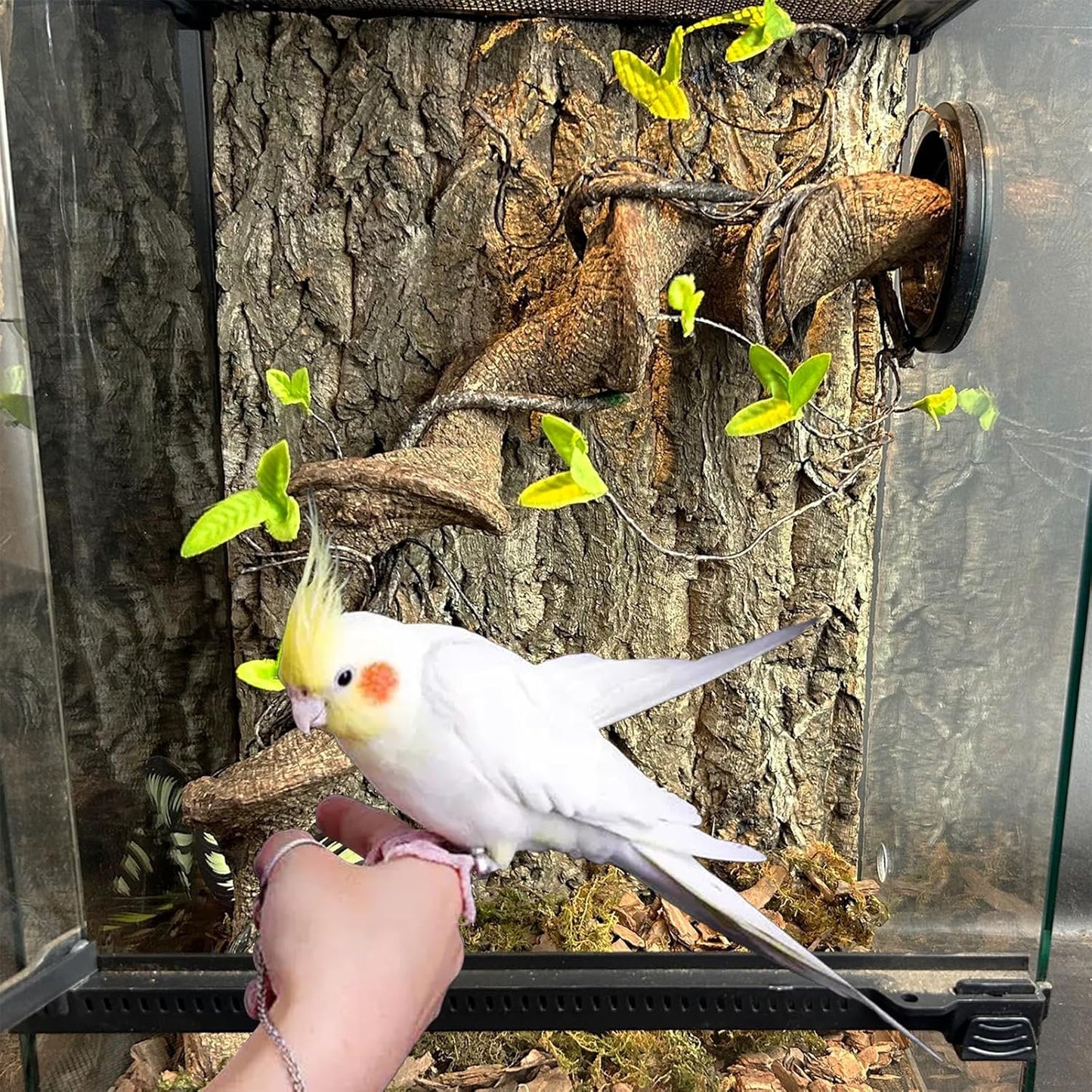 Allazone 3 PCS Parrot Chewing Toy Bird Cork Perch Stand, Natural Cork Perch, Parrot Chewing Toy Bird Cork Perch Stand for Parakeet Cockatiel Conure Lovebird