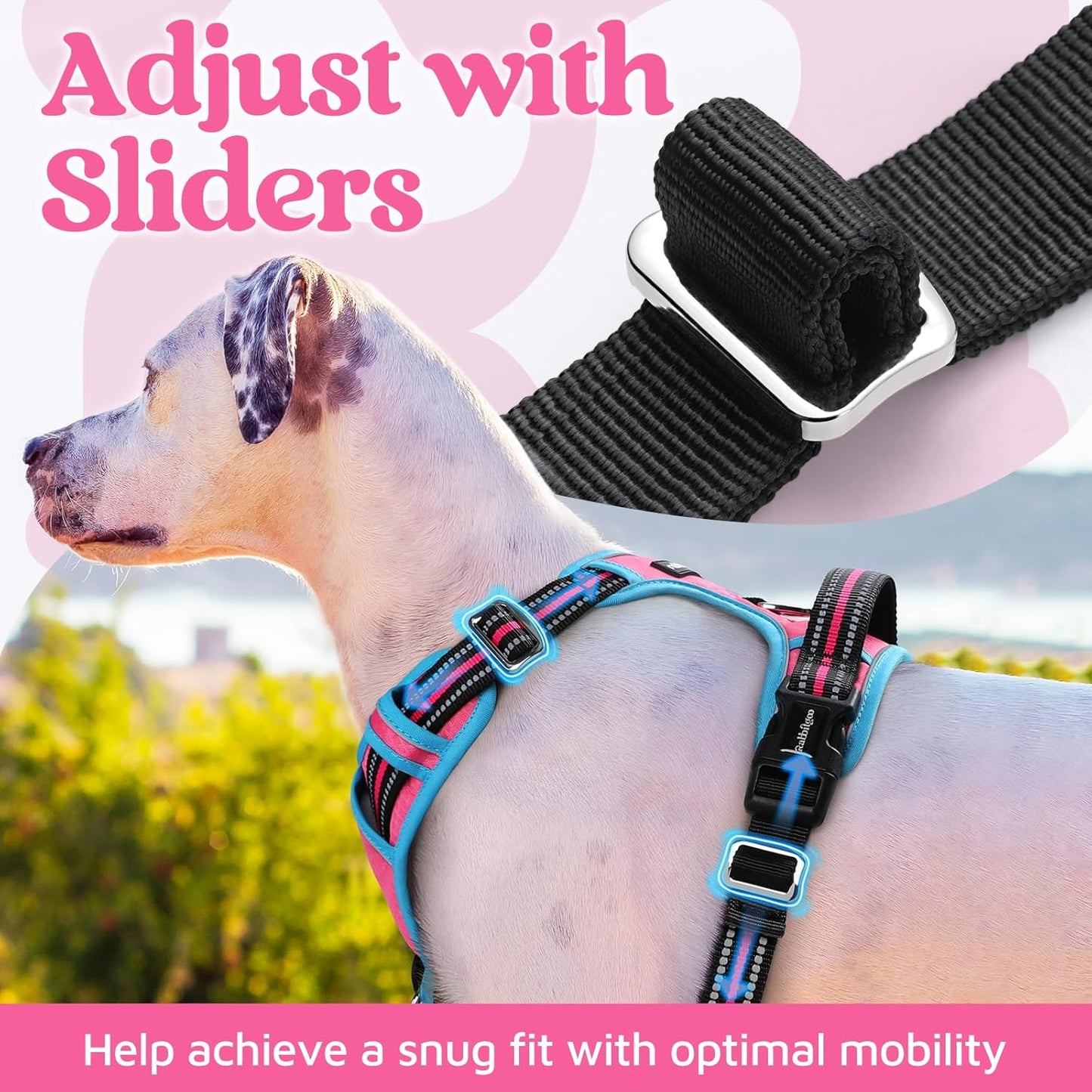 rabbitgoo Dog Harness Medium Sized, No Pull Dog Vest with 3 Buckles, Adjustable Soft Padded Pet Harness with Easy Control Handle and Reflective Strips, Rose Pink & Blue, M