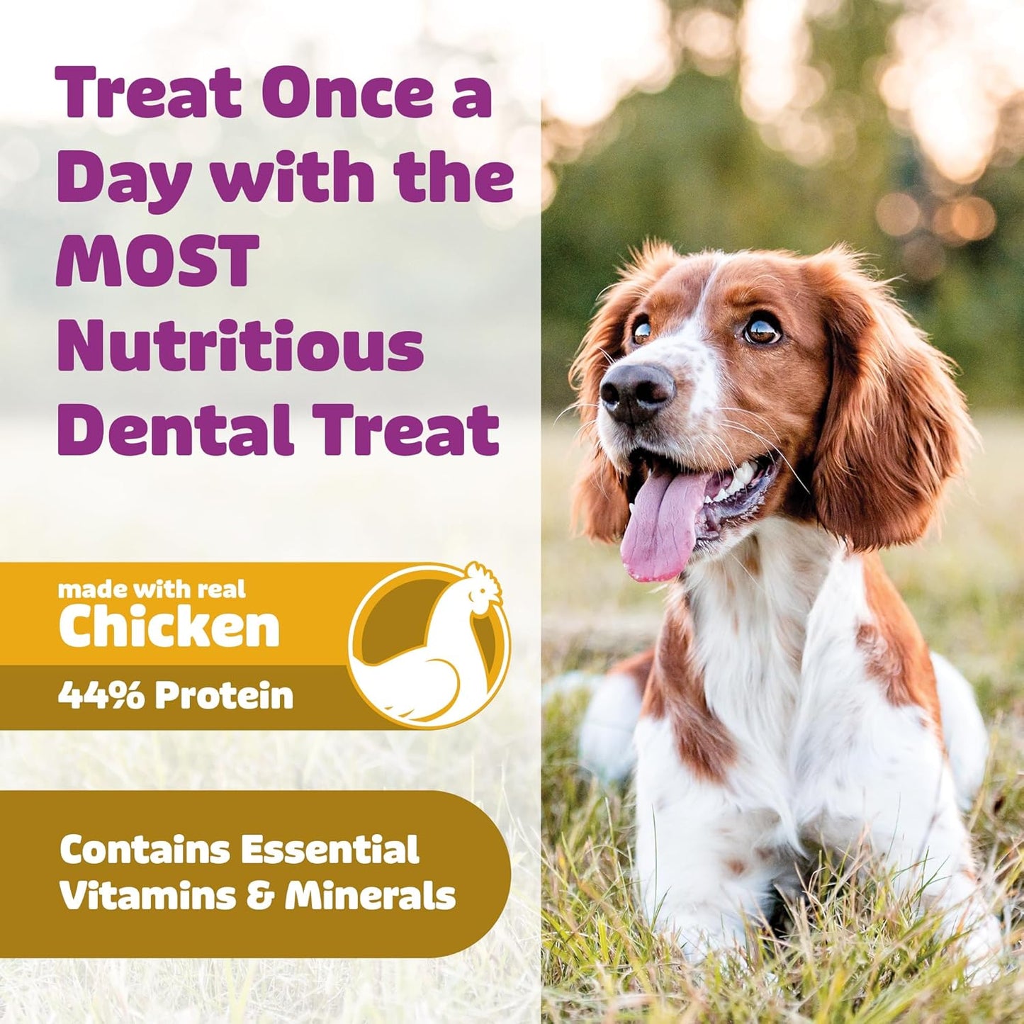 Dog Dental Treats – Vet VOHC Approved – Delicious Chicken Protein – Removes Tartar with Cleaning Comb Shape – Dental Dog Treats for Medium Dogs (12oz, 15 Count)