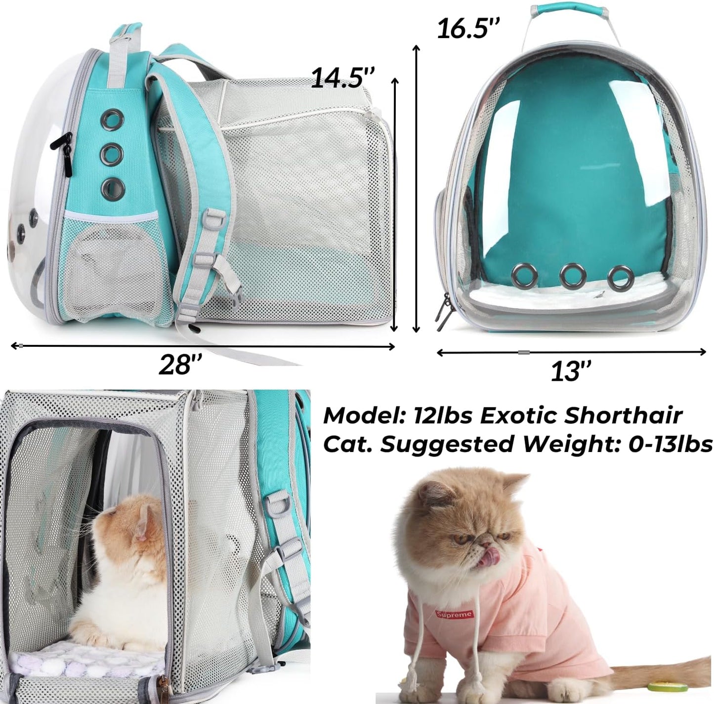 Lollimeow Cat Carrier Backpack, Bubble Expandable Backpack Carrier, Pets and Small Dogs,Airline-Approved, Designed for Travel, Hiking, Walking & Outdoor Use (Square Back Expandable-Green)