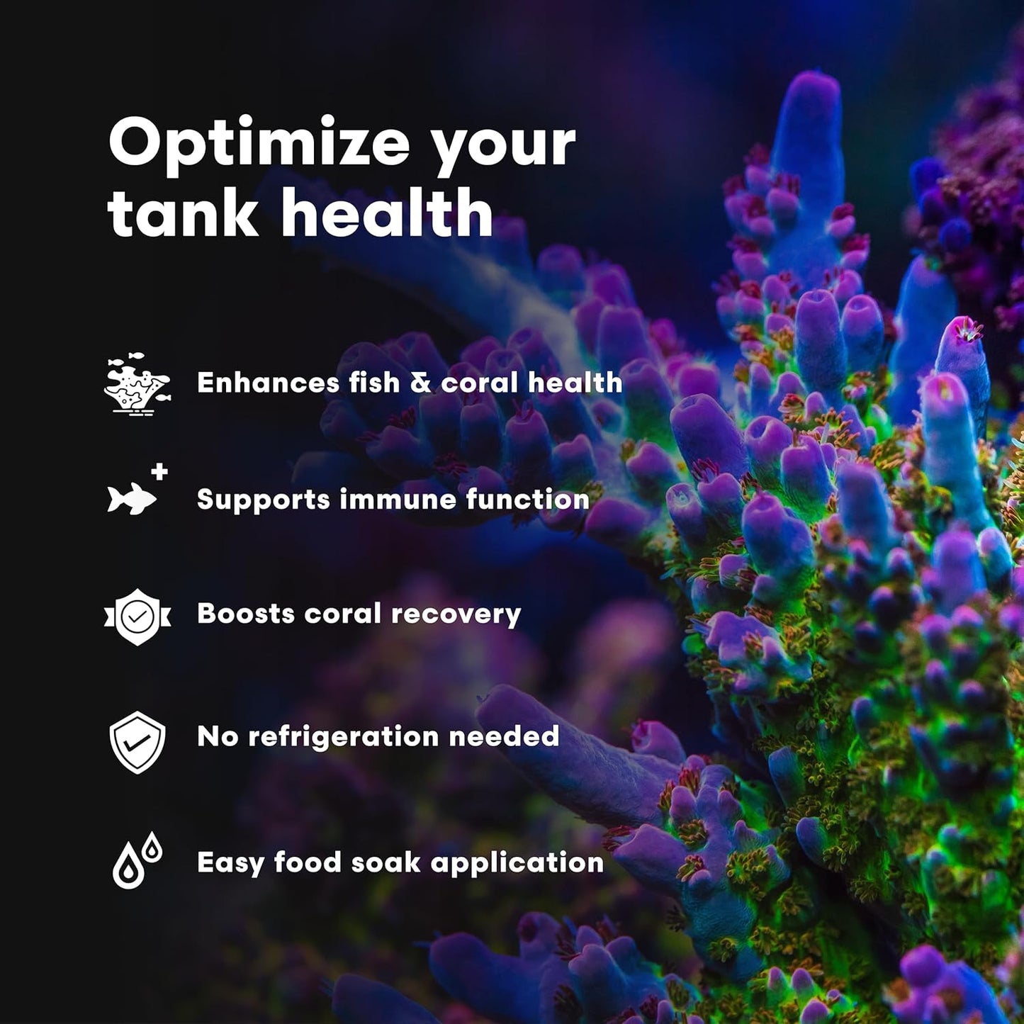 Brightwell Aquatics Vitamarin-M – Complete Vitamin Supplement for Marine Fish, Corals & Invertebrates – Supports Growth, Color & Immune Health – No Refrigeration, 500 ml