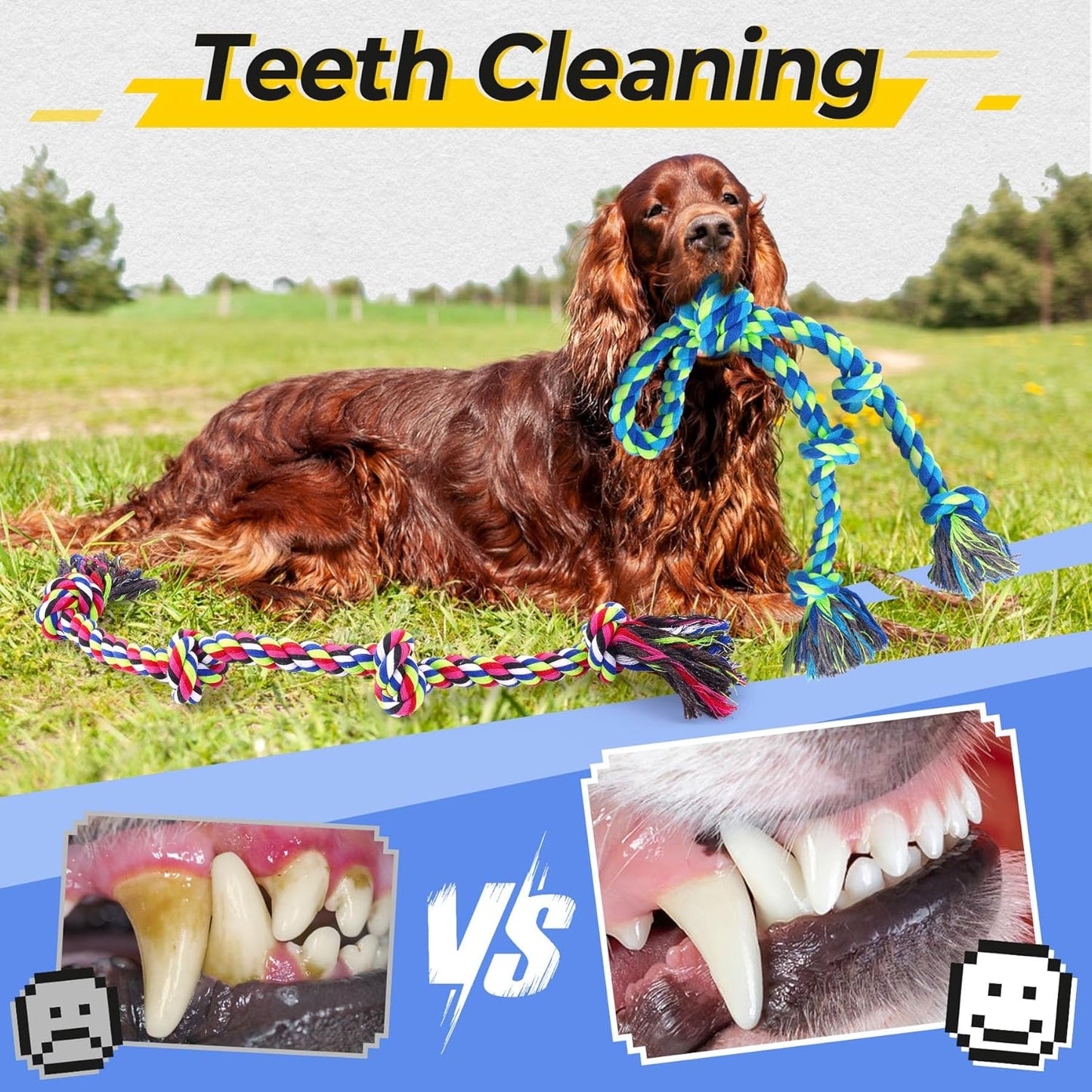 Heavy Duty Dog Rope Toys for Aggressive Chewers, Tough Tug of War Dog Toys for Large, Medium & Small Dogs – 5 Pack Including 2 Ropes & 3 Supplies