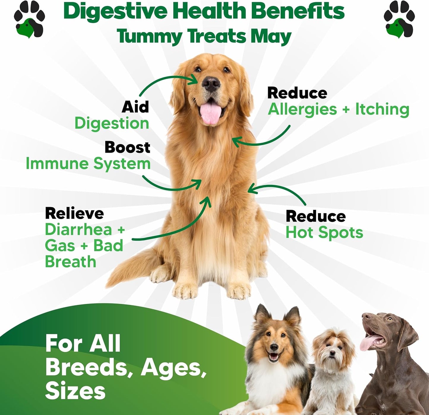 Probiotics for Dogs – Digestive Health Chews with Prebiotics & Enzymes | Dog Probiotic Supplement for Gut, Diarrhea Relief, Gas & Allergy Support – Chicken Flavor Soft Chews