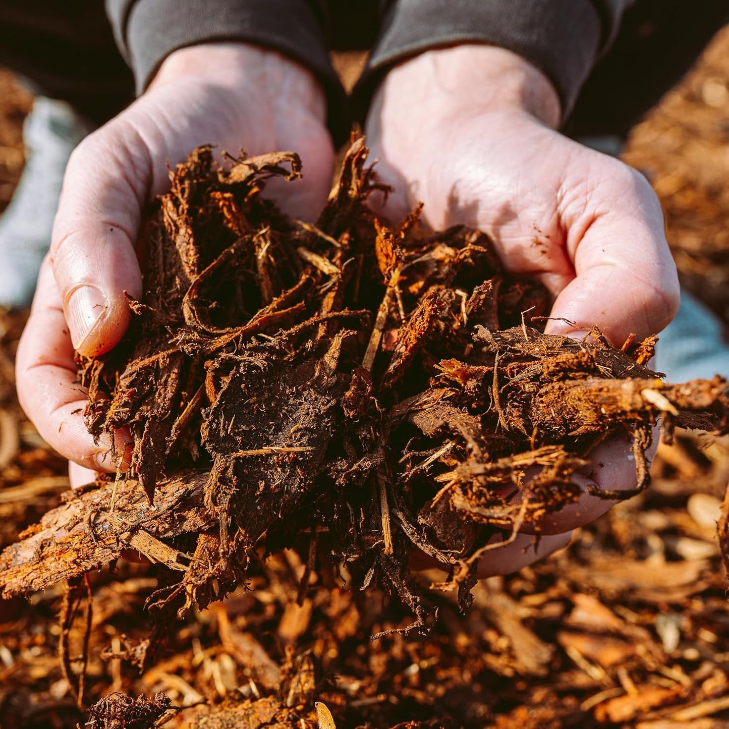 Premium Gold Wood Mulch for Landscaping, Gardens, Lawns, Potting Media, and Potted Plants (1.3 CF - 37 L - 39 QTS)