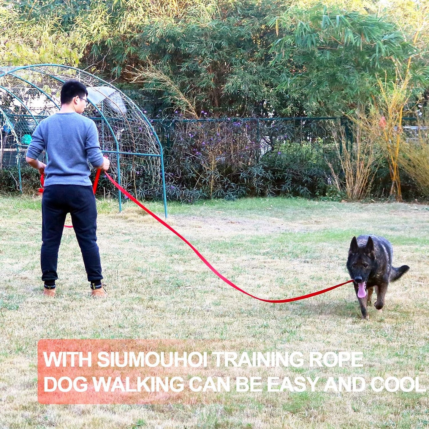 Dog/Puppy Obedience Recall Training Agility Lead -15ft 20ft 30ft 40ft 50ft Training Leash - Great for Play, Camping, or Backyard - Red 50ft